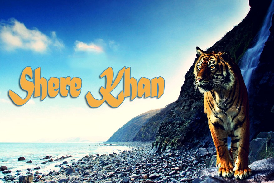 A Tribute to Shere Khan